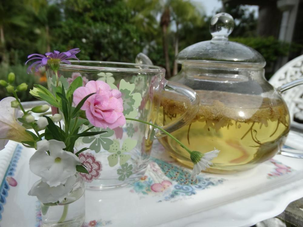 Noosa Valley Manor B&B Doonan Ngoại thất bức ảnh