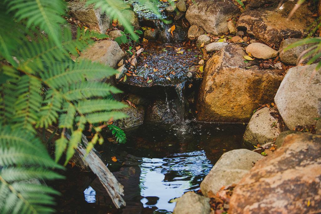 Noosa Valley Manor B&B Doonan Ngoại thất bức ảnh