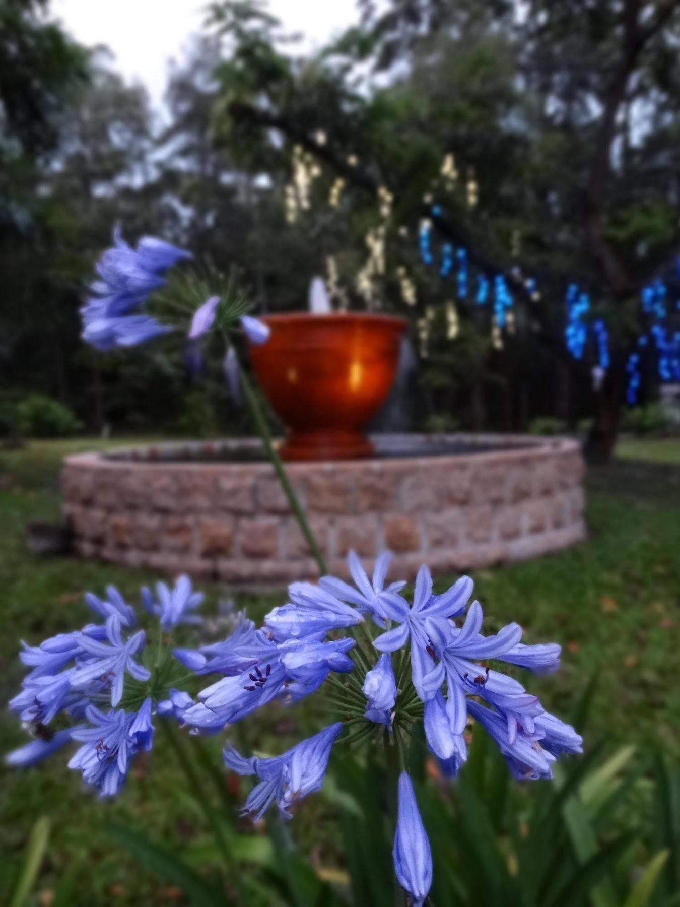 Noosa Valley Manor B&B Doonan Ngoại thất bức ảnh